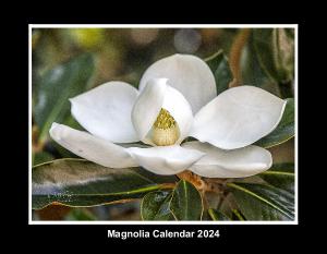 Magnolia Calendar 2024
