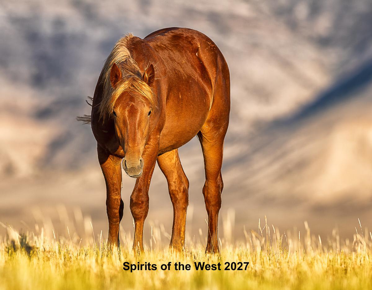 Spirit of the West 2027