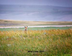 Wild Lives 2027