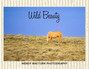 WILD BEAUTY