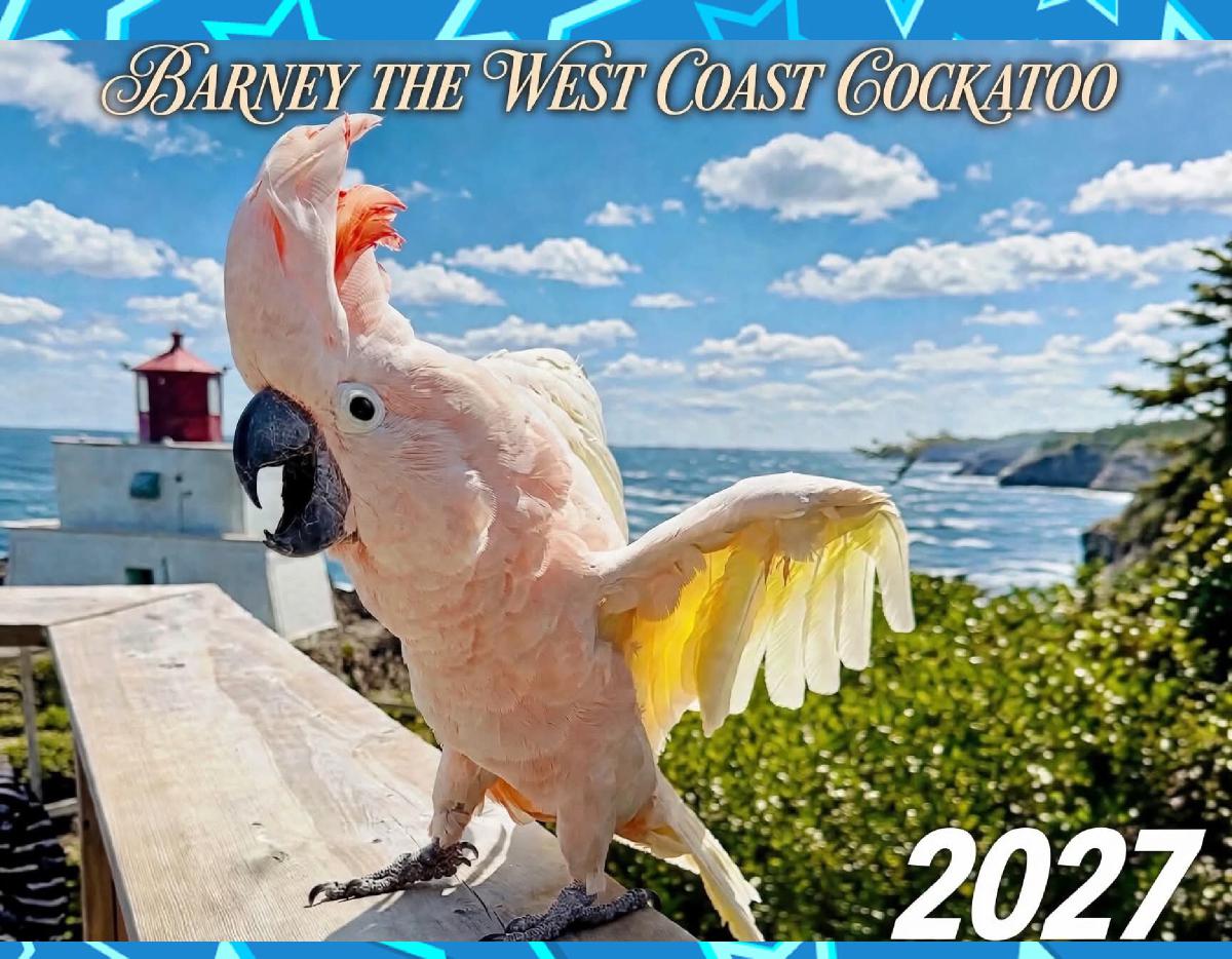 2027 Barney the West Coast Cockatoo