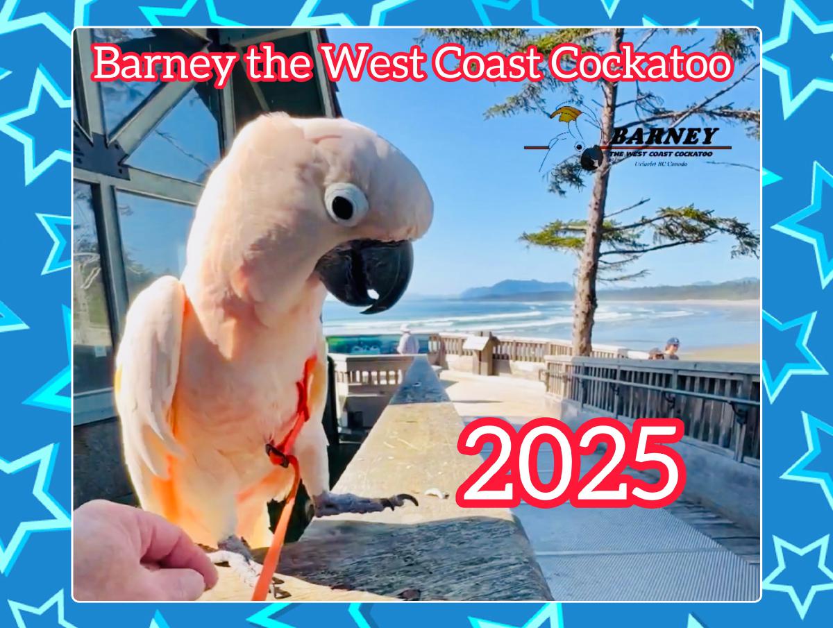 Barney 2025 Calendar