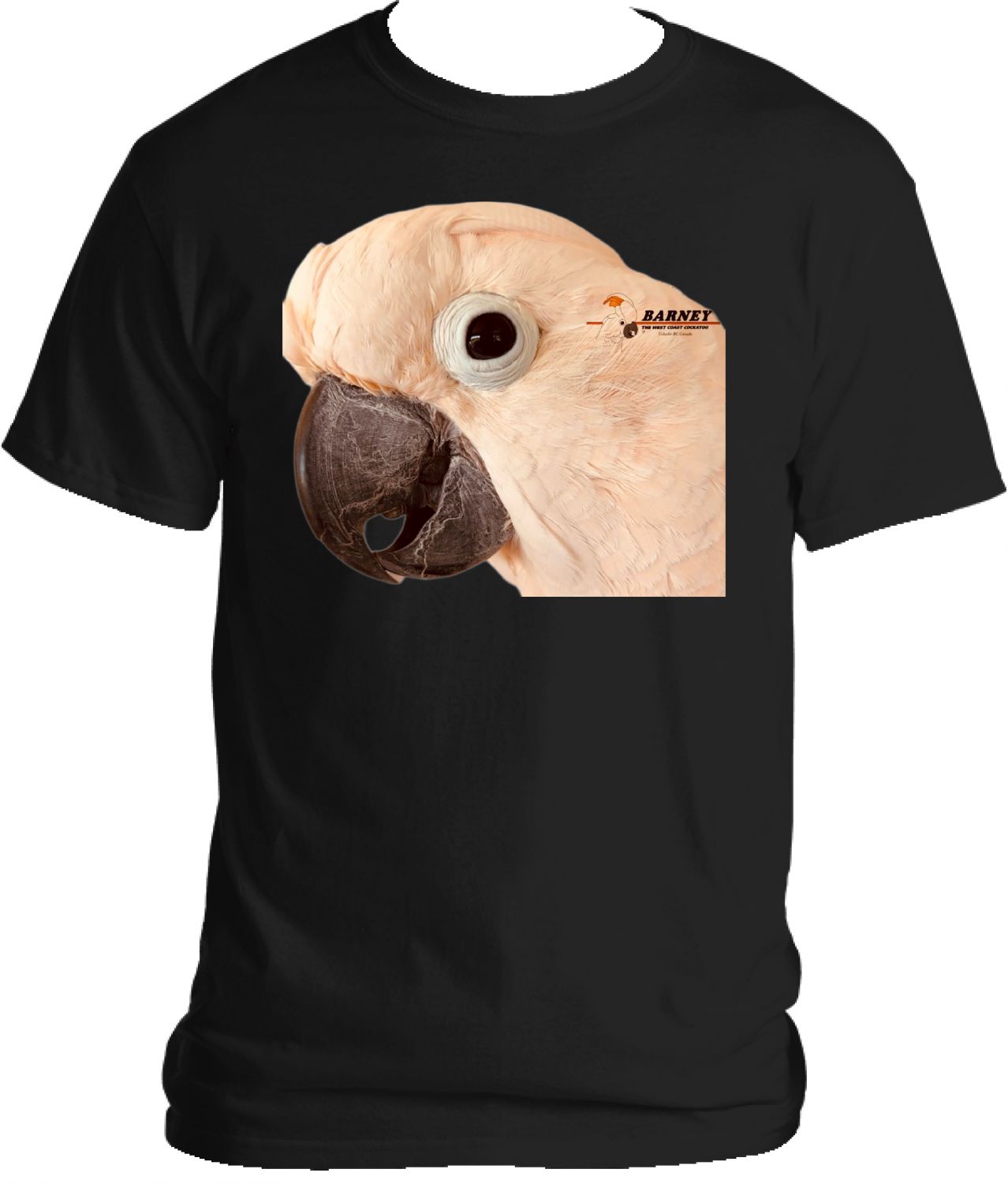 Barney Shirt
