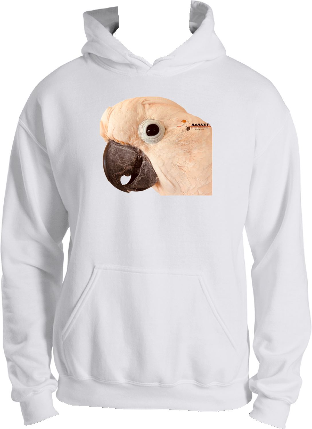 Barney Hoodie