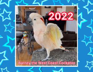 Barney 2022