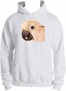 Barney Hoodie