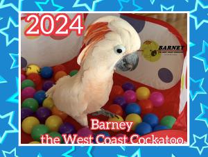 Barney 2024