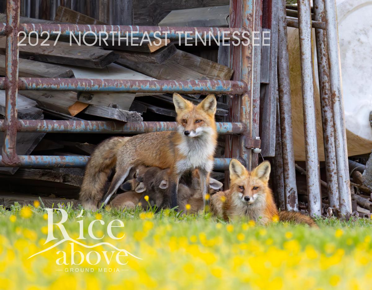2027 NE TN Calendar