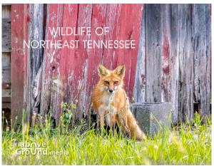 2022 Wildlife of Northeast Tennessee Calendar