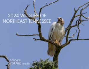 2024 Wildlife of Northeast Tennessee Calendar