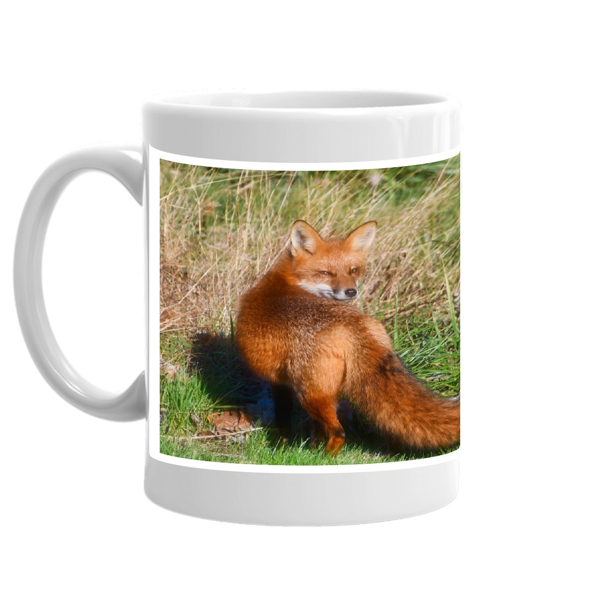 Red Fox Mug