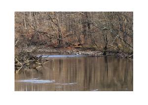 wildbeautyphotos
