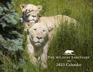 2023 The Wildcat Sanctuary Calendar