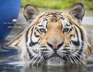 The Wildcat Sanctuary 2024 Calendar