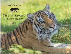 2026 Wildcat Sanctuary Calendar