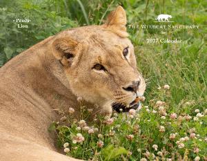 2027 The Wildcat Sanctuary Calendar