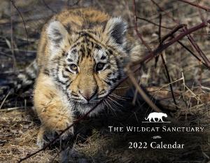 2022 Wildcat Sanctuary Calendar
