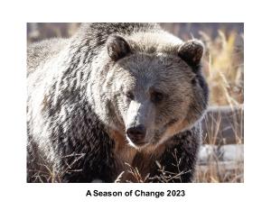 A Season of Change 2023 Calendar