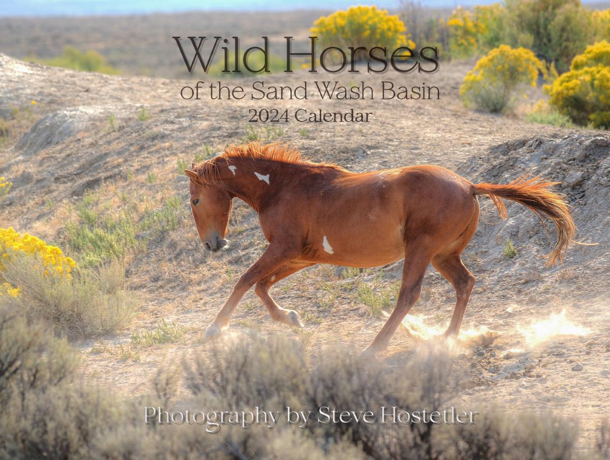 2024 Wild Horses of the Sand Wash Basin Calendar