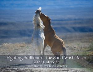 Wild Stallions of the Sand Wash Basin 2023 Calenda