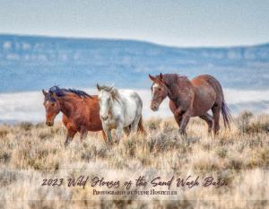 2023 Wild Horses of the Sand Wash Basin