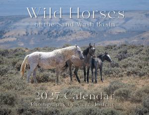 Wild Horses of the Sand Wash Basin 2027 Calendar