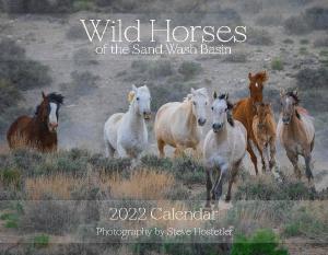 2022 Wild Horses of the Sand Wash Basin Calendar