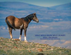 2026 Sand Wash Basin Wild Horses