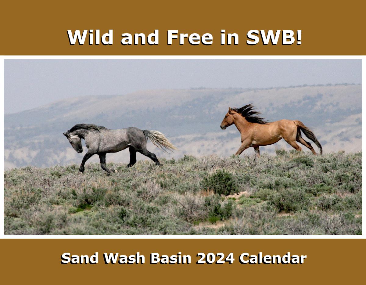 Sand Wash Basin 2024 Calendar