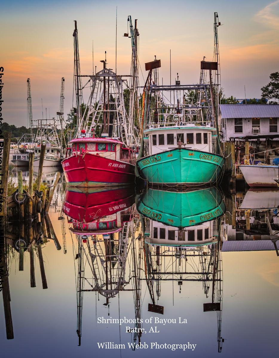 Shrimpboats of Bayou La Batre by William Webb