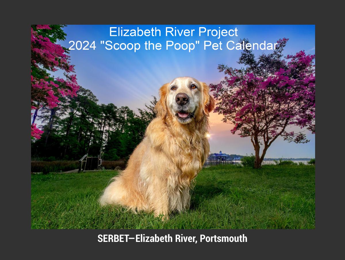 Scoop the Poop 2024 Pet Calendar