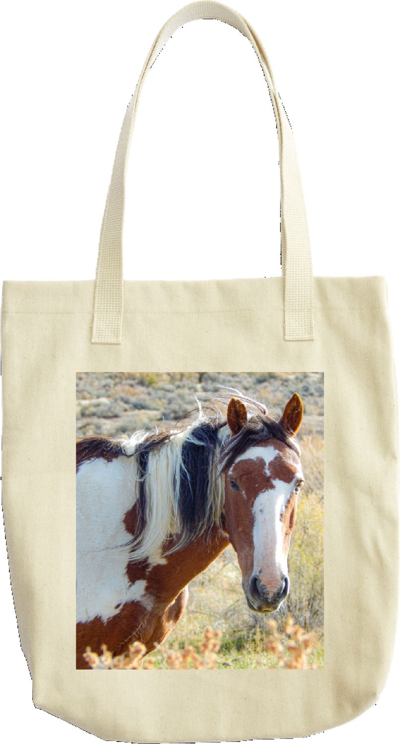 Picasso Tote Bag