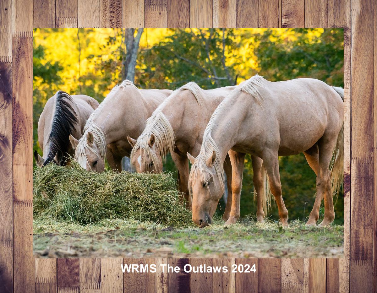 WRMS The Outlaws 2024 Wall Calendar