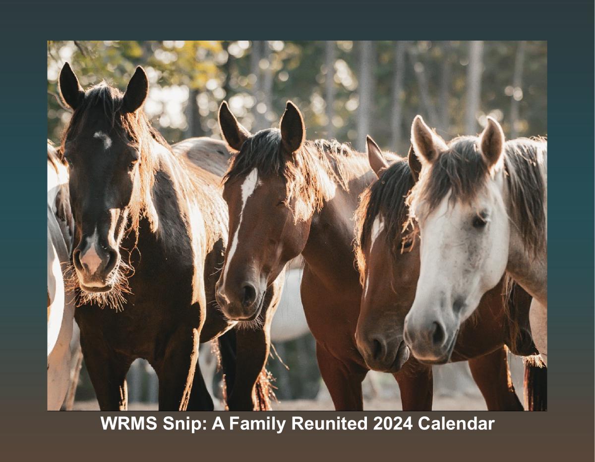 WRMS Snip: A Family Reunited 2024 Calendar