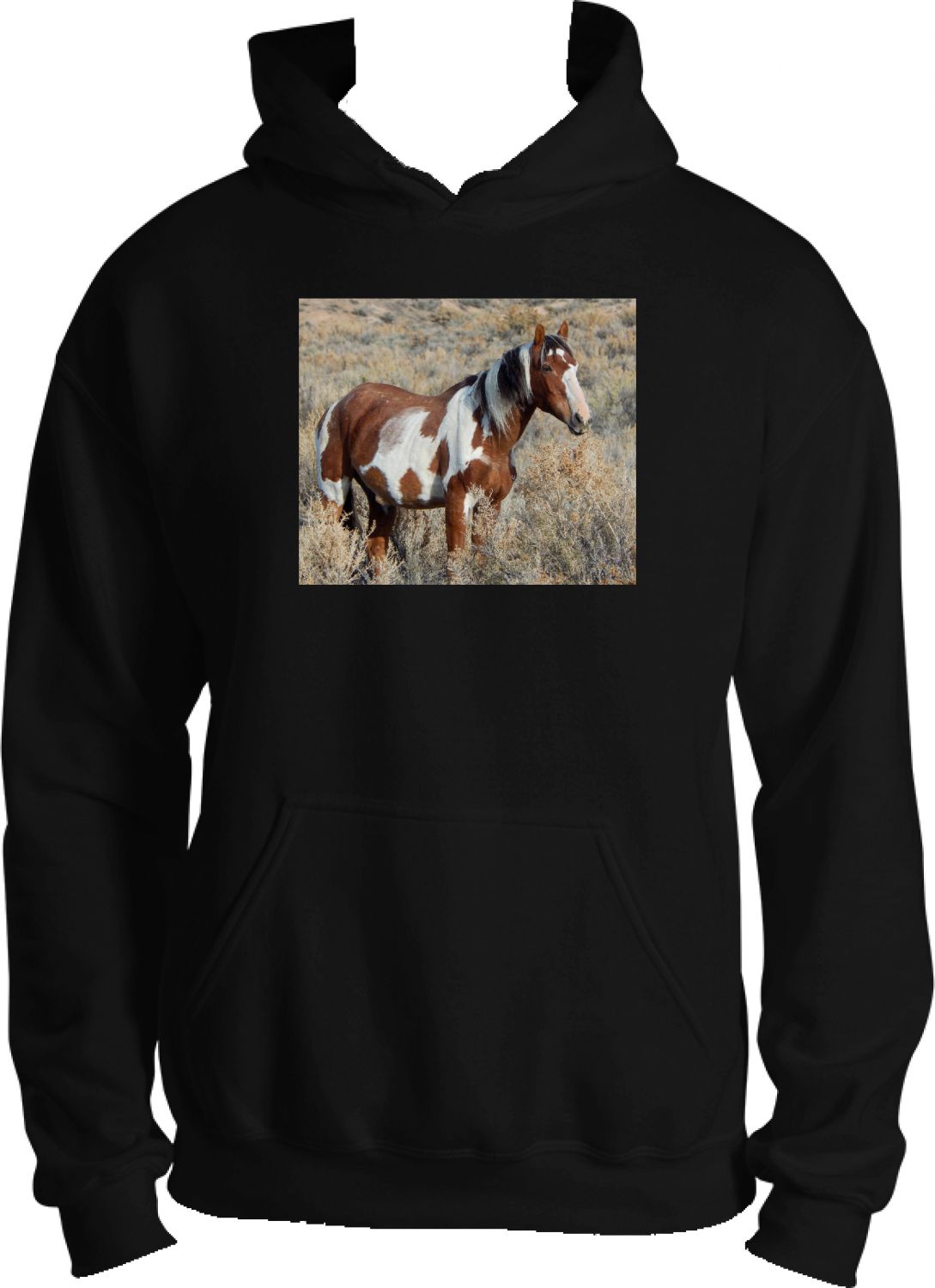 Picasso of Sand Wash Basin Hoodie