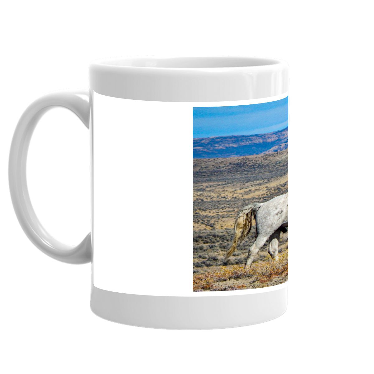 Bachelor Stallion of Sand Wash Coffee Mug