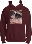 Stallion River Hoodie