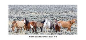 Wild Horses of Sand Wash Basin 2022 Desk Calendar