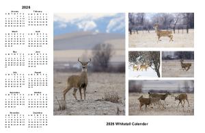 2026 WTP Whitetail Poster Calendar