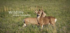 2024 Wildlife Desk Calendar