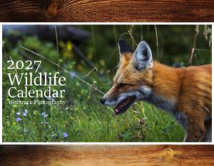 2027 Wildlife Wall Calendar