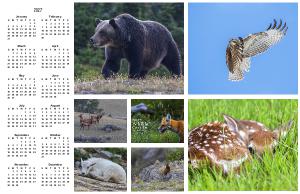 2027 Wildlife Calendar - Poster