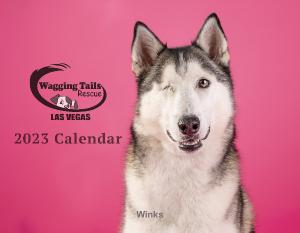 Wagging Tails Rescue 2023 Calendar