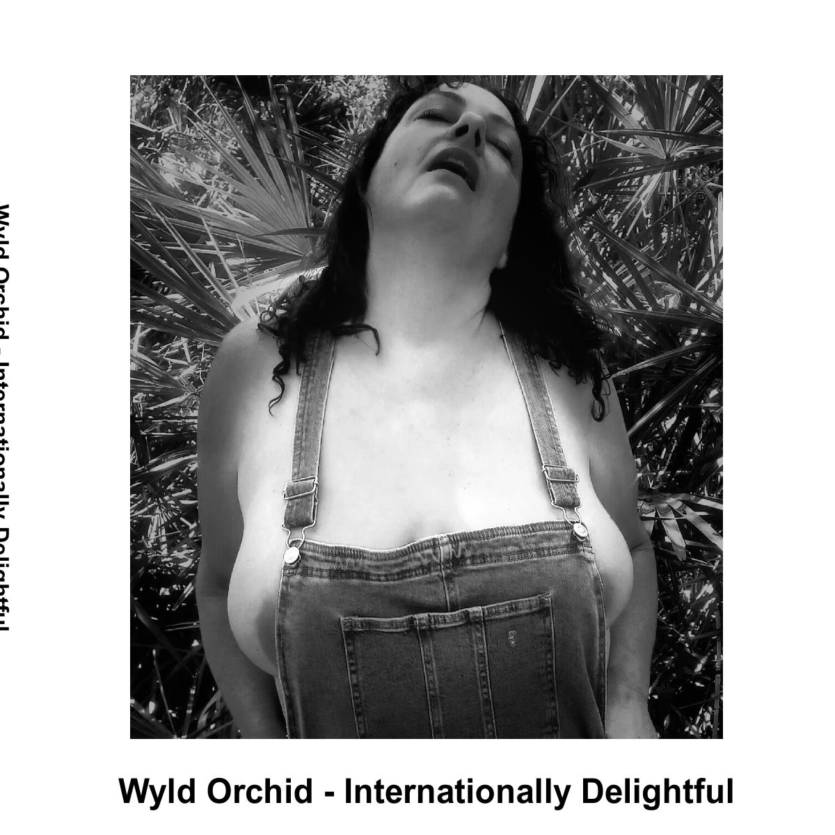 Wyld Photo Book