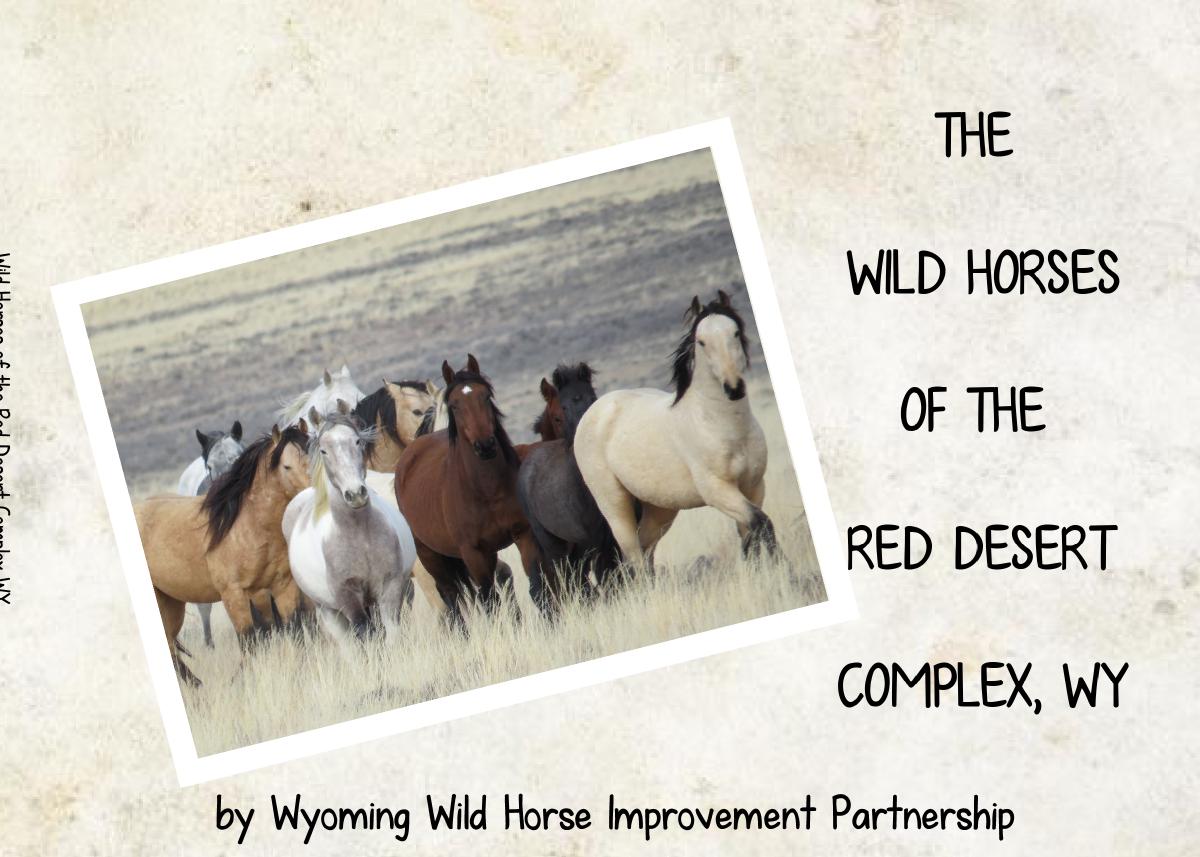 Red Desert Complex Book