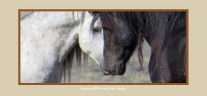 Wyoming Wild Horses Desk Calendar