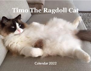 Timo The Ragdoll Cat Calendar 2022
