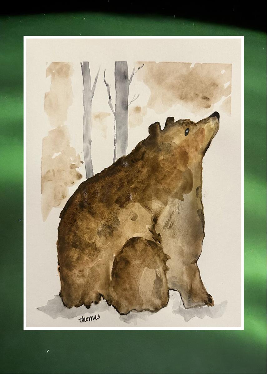 Bear in the Woods