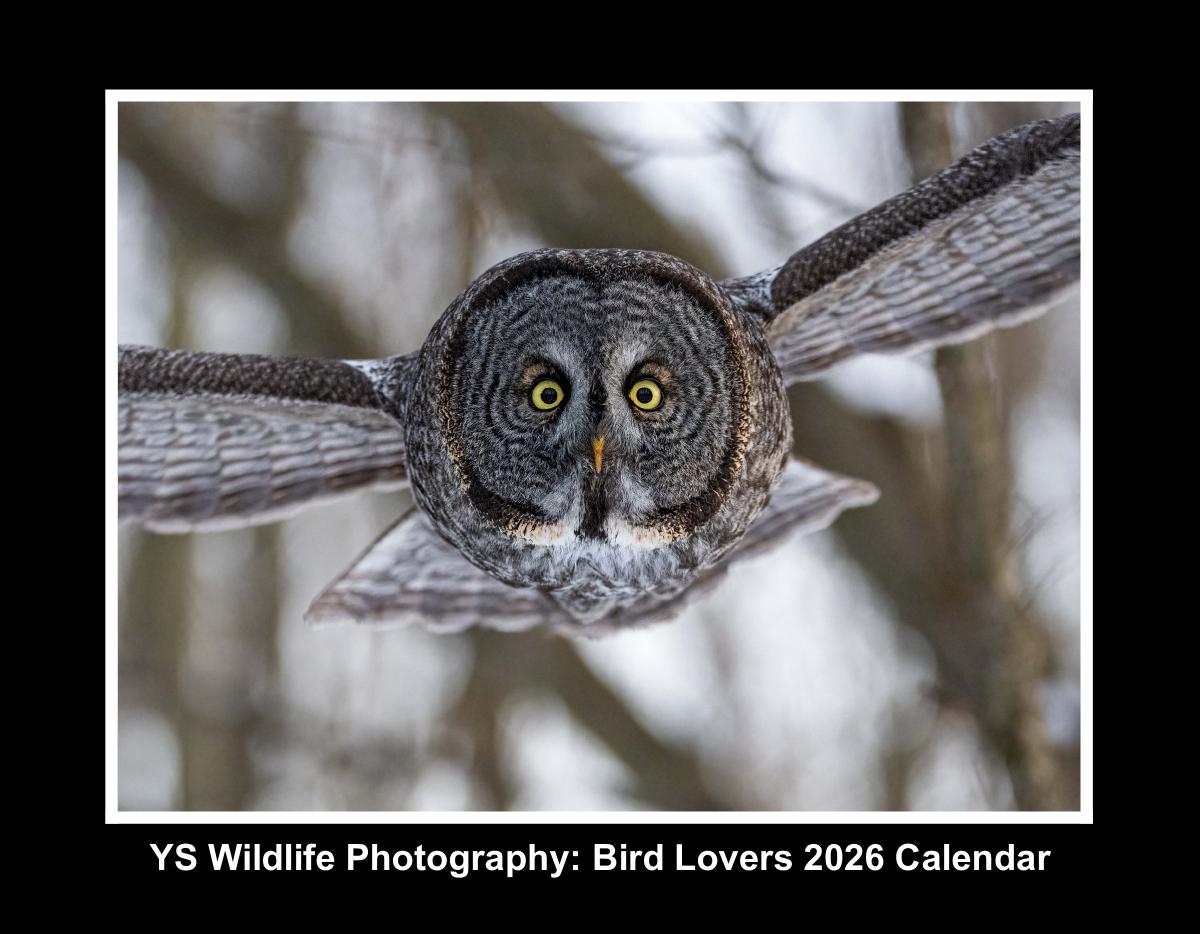 Bird Lovers 2026 Calendar