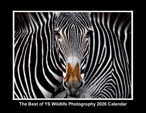 YS Wildlife Photography 2026 Calendar